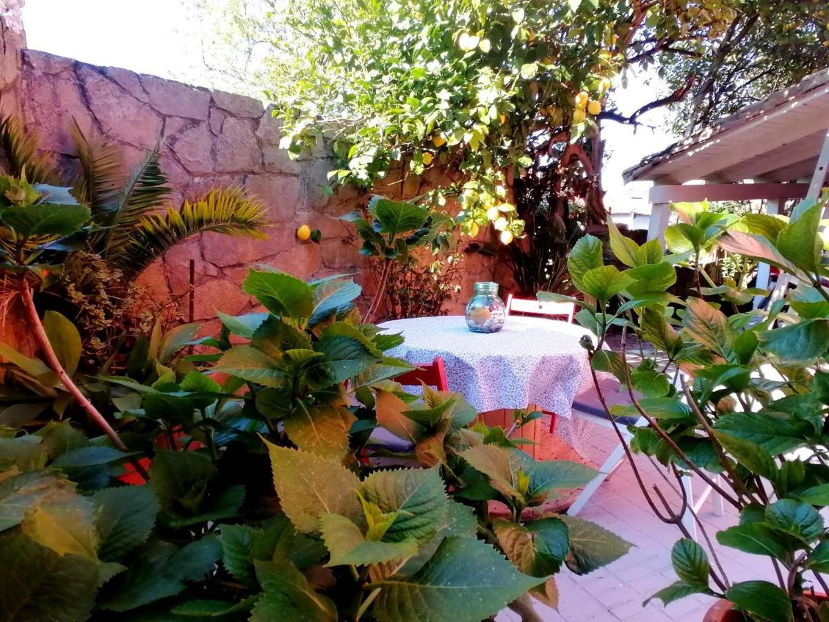 Hotel Las Palmeras سيلوريو المظهر الخارجي الصورة